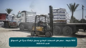 3832 جنيها.. سعر طن الأسمنت الرمادي يسجل ارتفاعًا جديدًا في الأسواق الأحد 21-9-2025